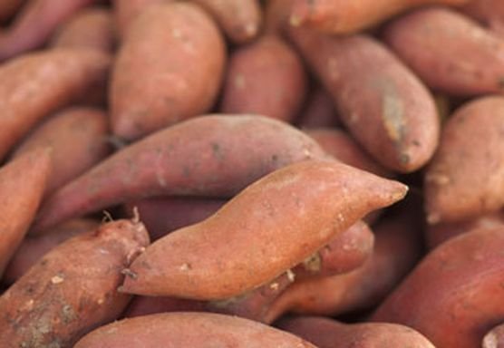 3cdd71bd1982939843db668ee20af1fa