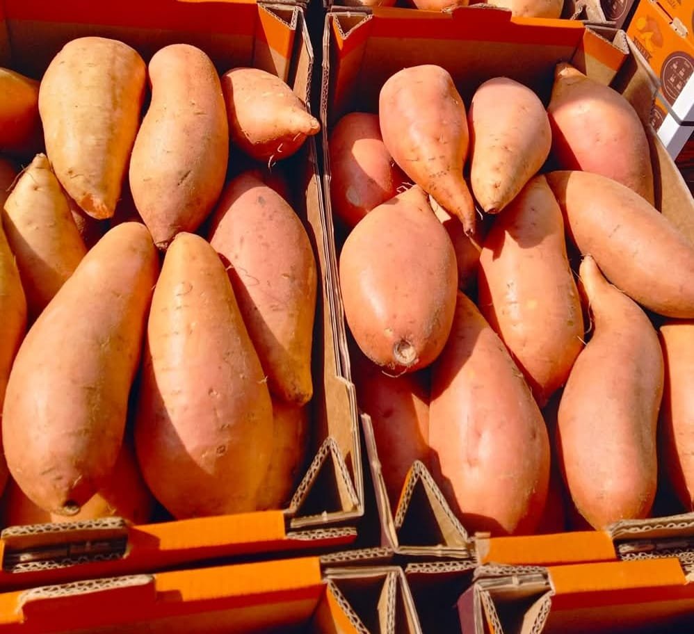 WhatsApp Image 2025-11-17 at 9.55.00 AM