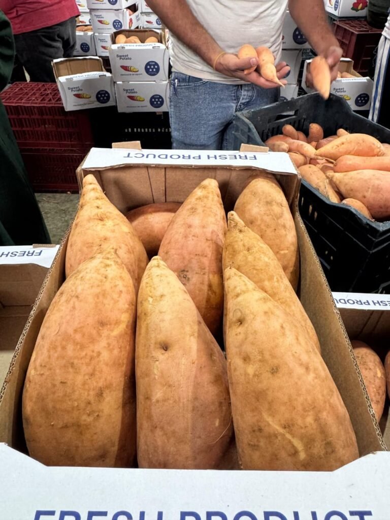 WhatsApp Image 2025-11-19 at 1.57.02 PM