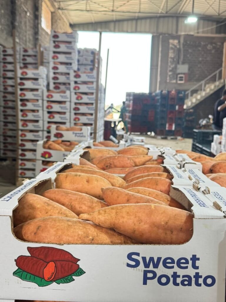 WhatsApp Image 2025-11-19 at 1.57.03 PM