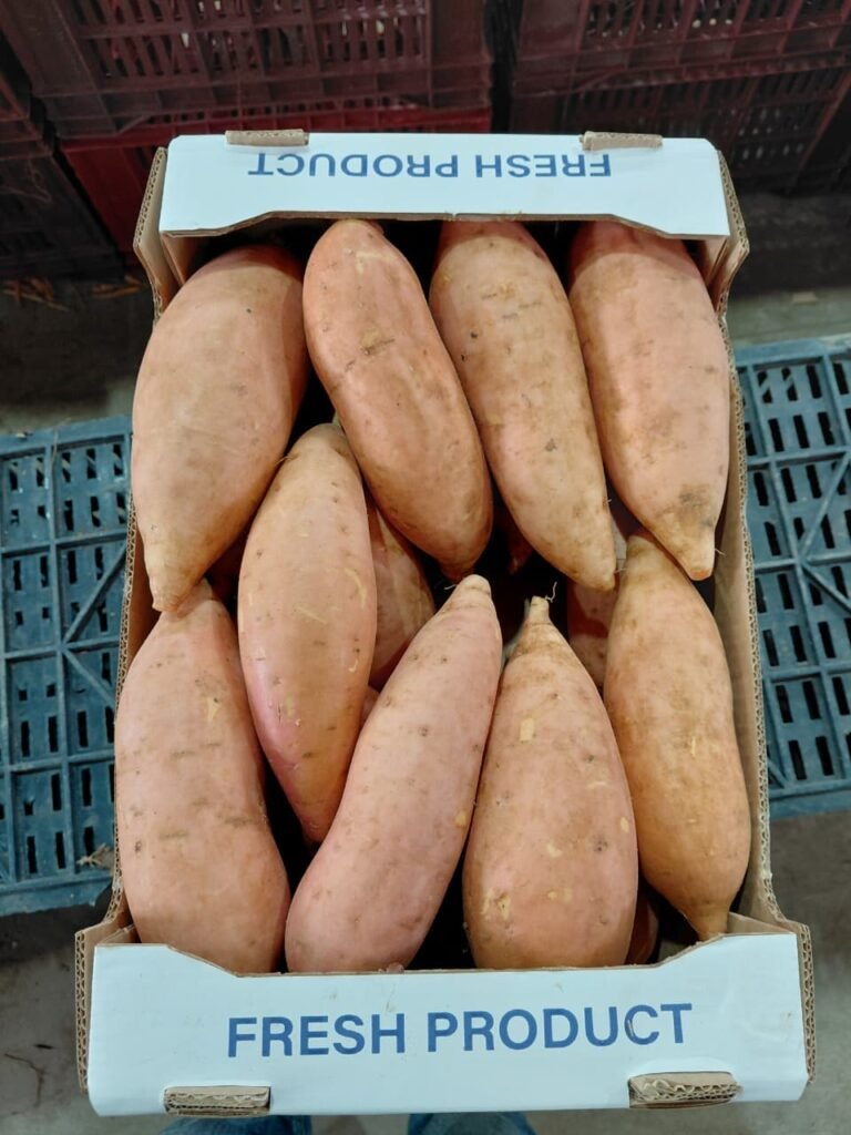 WhatsApp Image 2025-11-19 at 1.57.04 PM